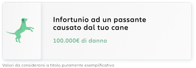 Animali Domestici