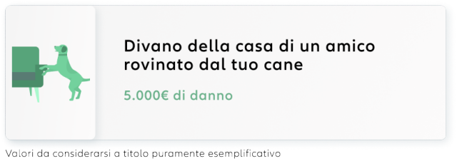 Animali Domestici