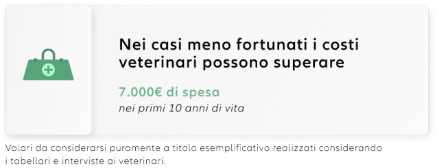 Animali Domestici