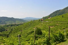 Vista_da_Santo_Stefano_Valdobbiadene_small